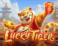 Lucky Tiger PP